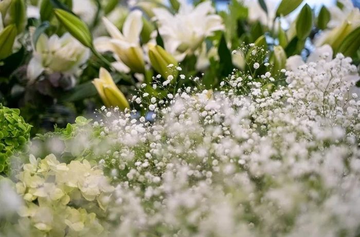 葬儀に使用する白系のお花の写真