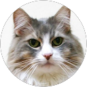 SENA profile picture