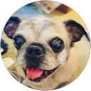 YOKO S profile picture