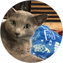 西田麻美 profile picture